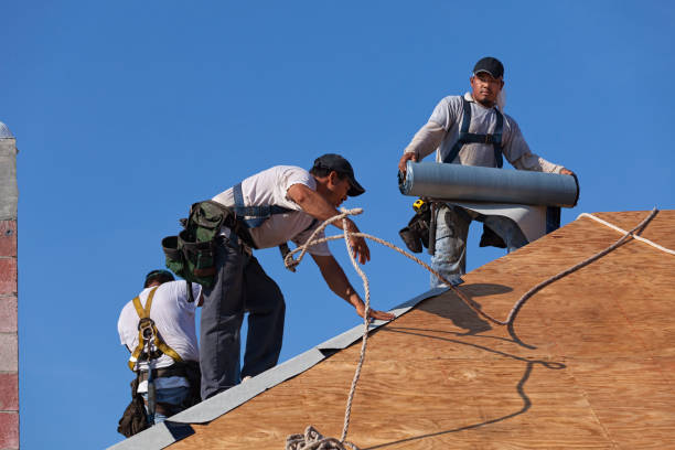 Professional Roofing Contractor in Oneida, TN