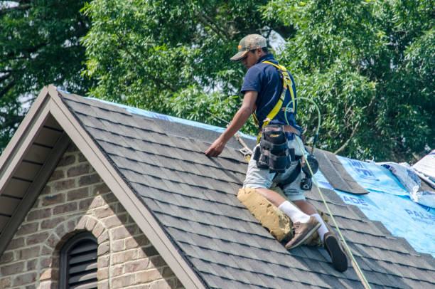 Best Metal Roofing Contractor  in Oneida, TN
